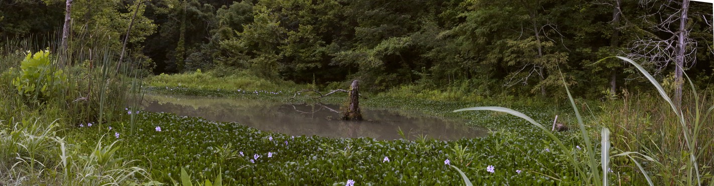 Cave_Spring_Pano