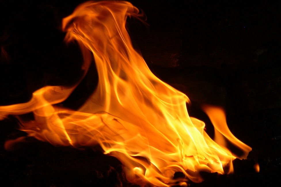 P1040604.JPG